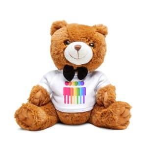 Teddy Bear with T-Shirt