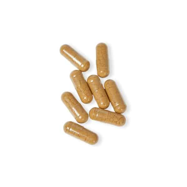 Bisexual Heart Mushroom Blend Supplement (60 Capsules) - Image 5